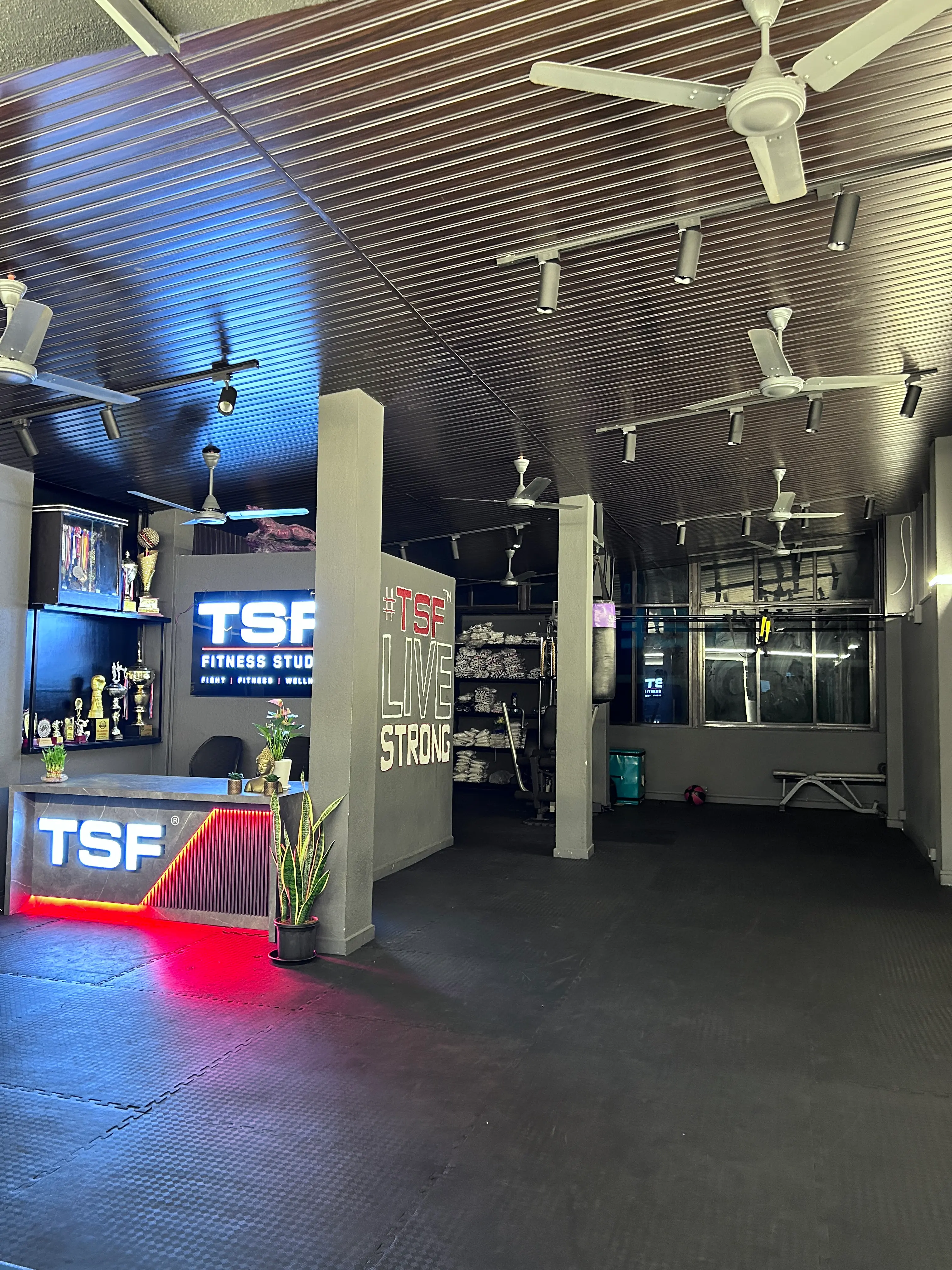 Interior of TSF Fitness Studio